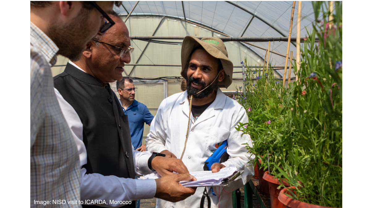 A Bright Future for the Norwich Institute for Sustainable Development
