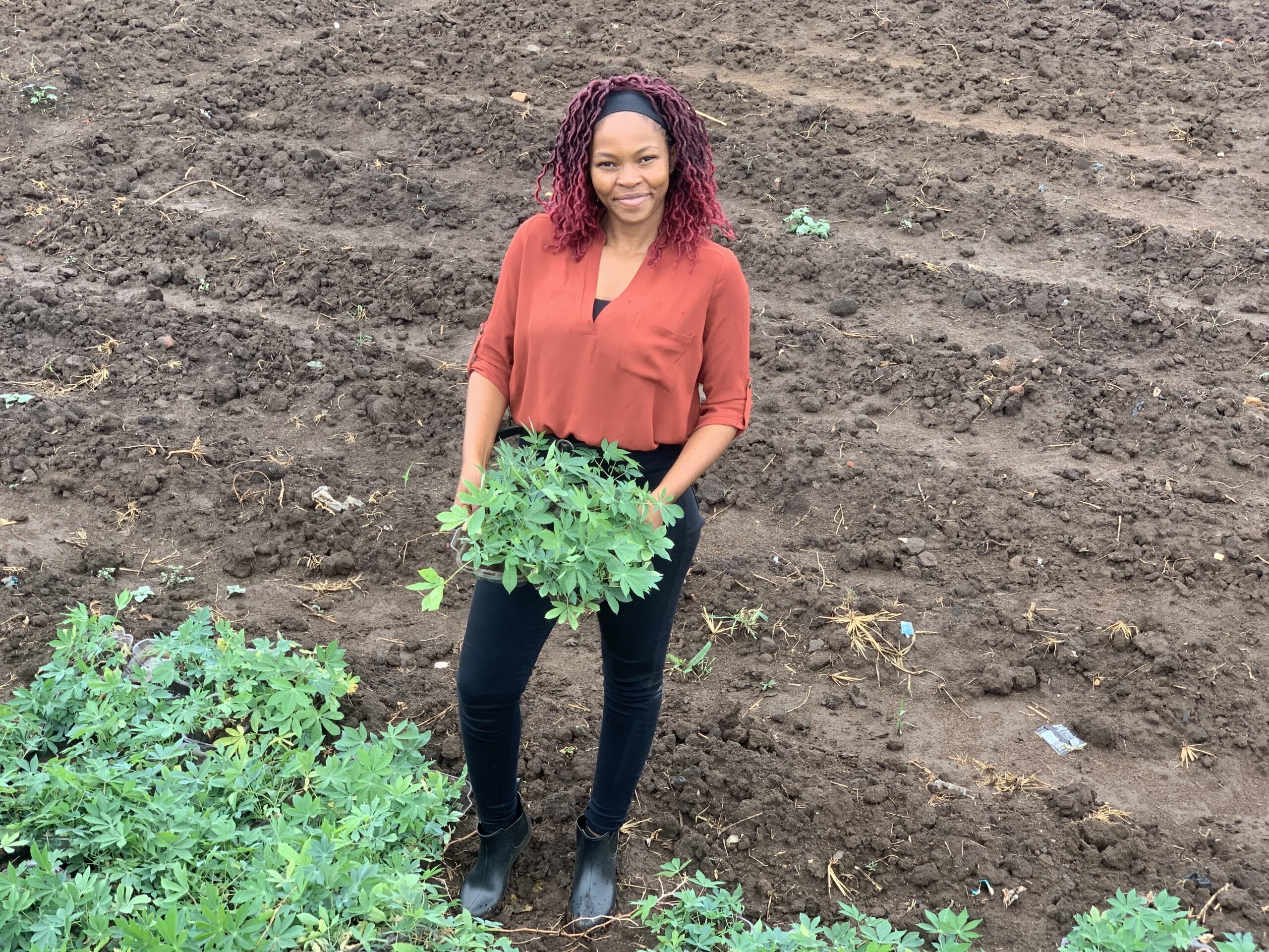 Prestigious international scholarship awarded to former John Innes Centre MSc graduate