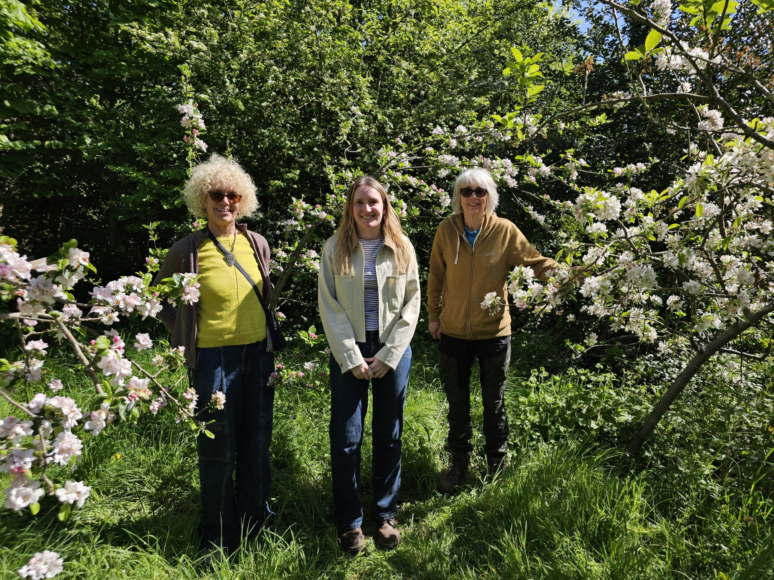 A new chapter for Merton’s heritage orchard 